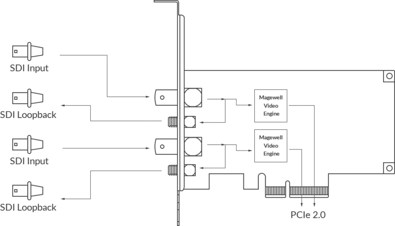 Magewell Pro Capture Dual SDI